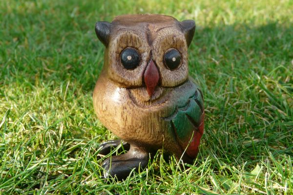 Sova se zvuky 8,5 cm