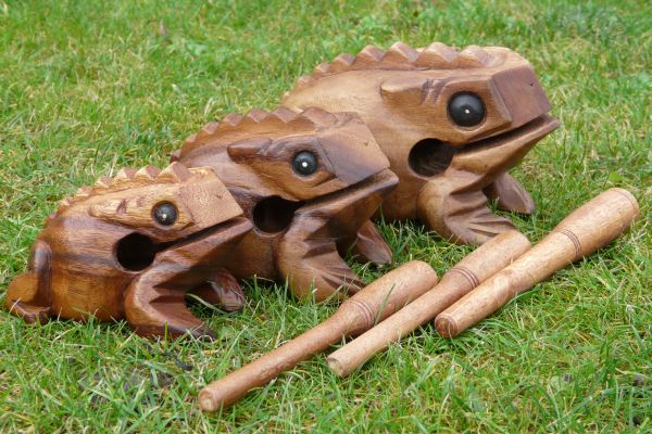 Drhlo žabička 17 cm