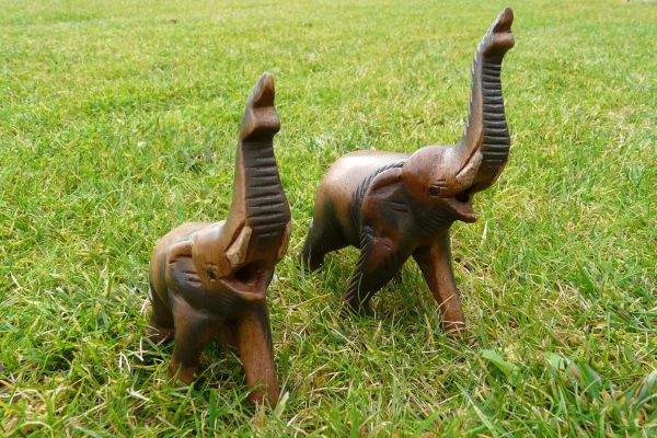 Slon se zvuky velký