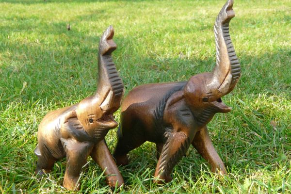 Slon se zvuky velký