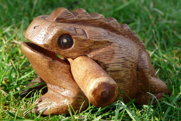 Drhlo žabička 17 cm