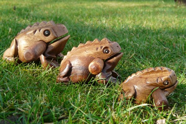 Drhlo žabička 17 cm