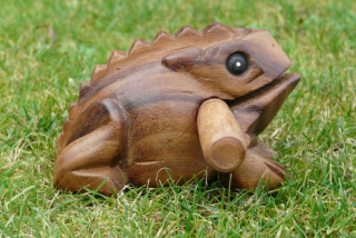 Drhlo žabička 14 cm