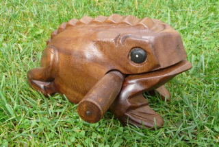 Drhlo žabička 17 cm