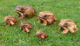 Sada hudebních žabiček 6 ks